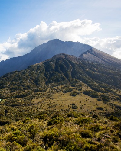 at-image-29