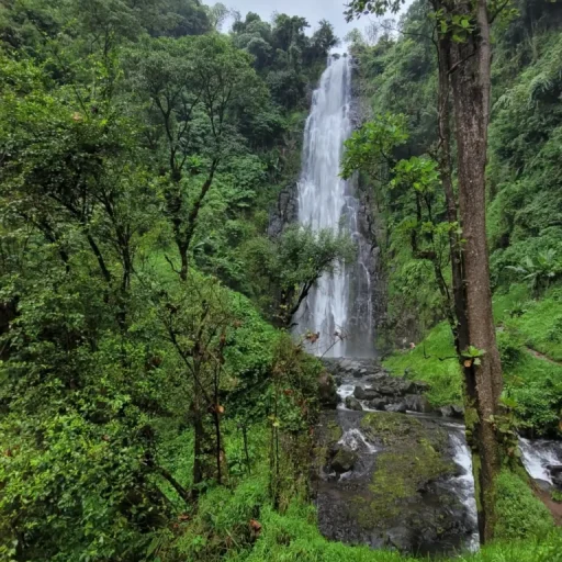 20240305_135451-scaled-e1737313152782-768x1362